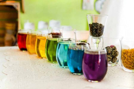 Warsztaty robienia tęczy, degustacje herbat Kraków