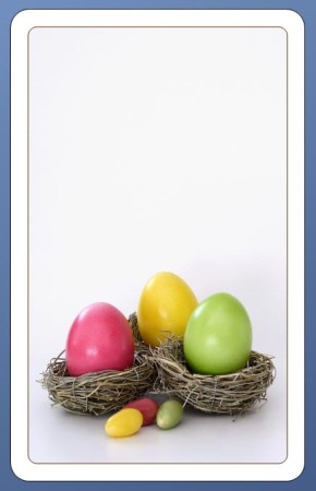 Etykieta samoprzylepna z logo kolorowa Jajka