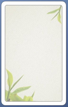 Etykieta samoprzylepna z logo kolorowa Liść Herbaty