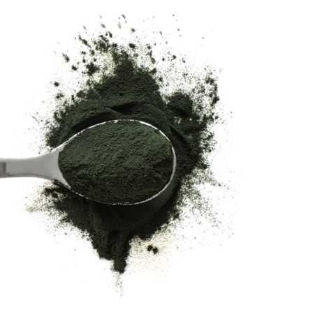 bio chlorella Pyrenoidosa Green Ways proszek