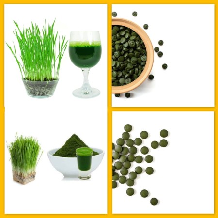 Zestaw do koktajli: CHLORELLA proszek + Młody JĘCZMIEŃ proszek