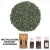 Herbata zielona Chun Mee 50 gram lub 100 gram torebka herbaty zielonej
