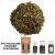 Zielona herbata Sencha Kwiatowa Łąka 50 gram lub 100 gram torebka