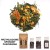 Zielona Sencha Mango Premium 50 gram lub 100 gram