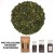 Herbata Oolong Tie Kuan Yin 50 gram lub 100 gram torebka herbaty oolong