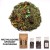 Yerba Mate green Summertime 50 gram lub 100 gram torebka yerba mate