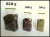torebki-folia-50-100-250g.JPG