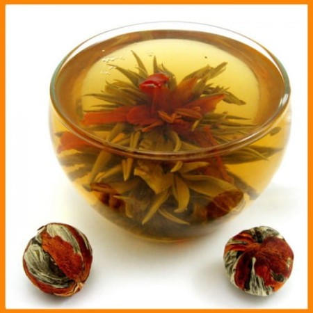 Kwitnaca ogien milosci.jpg