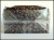 torebki-folia-50-100-250g-wariant-DNO.JPG