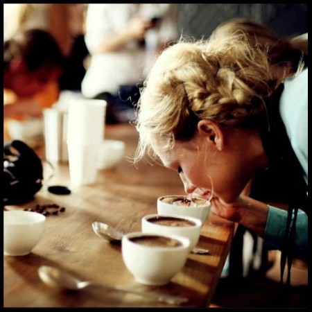 degustacja kaw za pomocą aeropressu Kraków