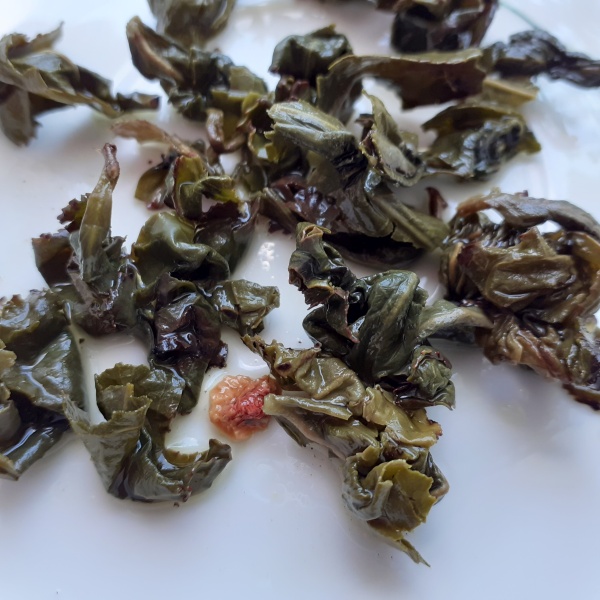 Herbata oolong truskawka liście po zaparzeniu